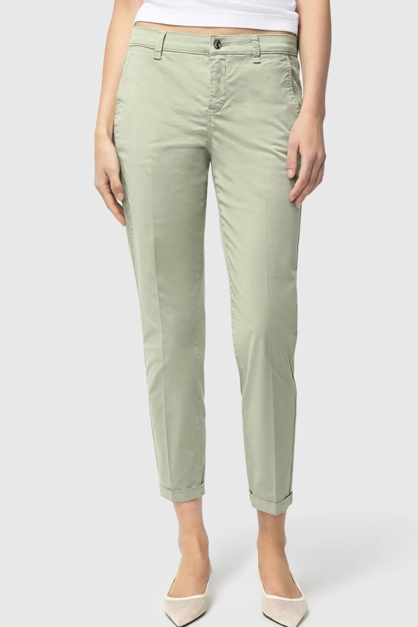 CHINO 343R dried rosemary PPT