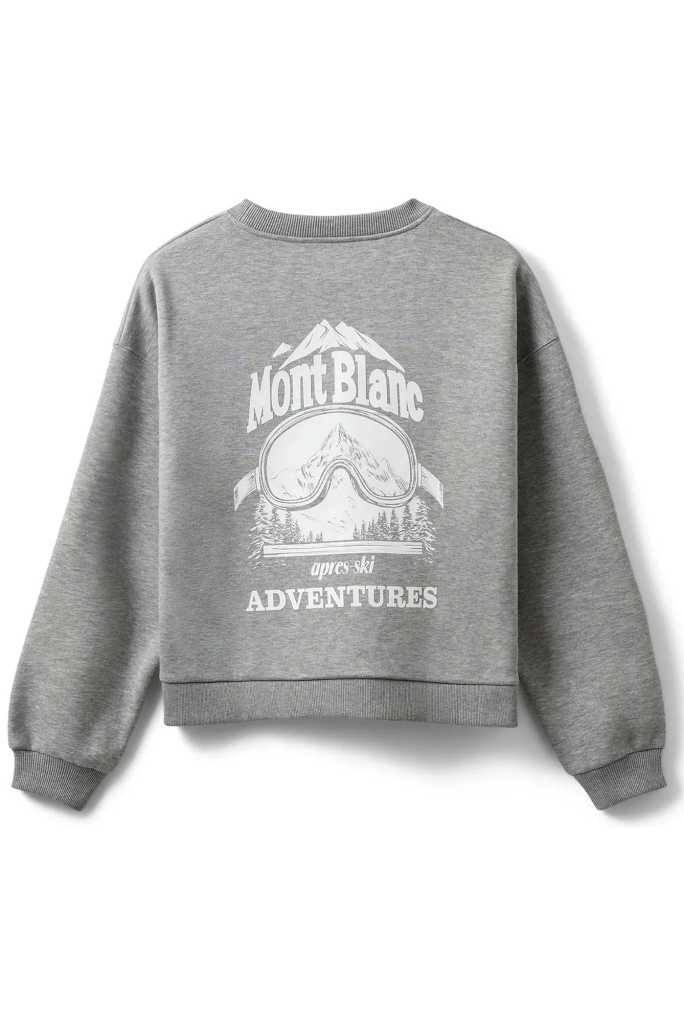 ELINSW SWEATSHIRT 8010 Grey melange S254440